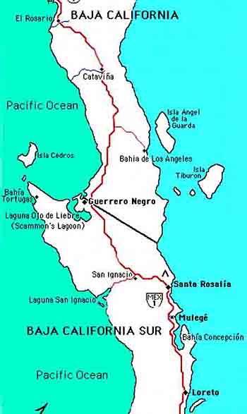 Central  Baja Map for the Baja whale watching adventure